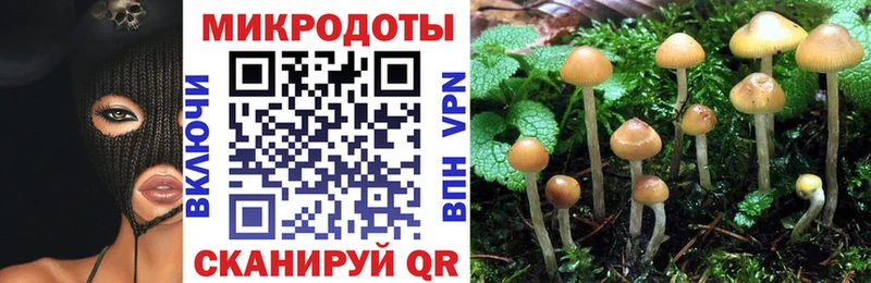 Псилоцибиновые грибы GOLDEN TEACHER  Калининск 
